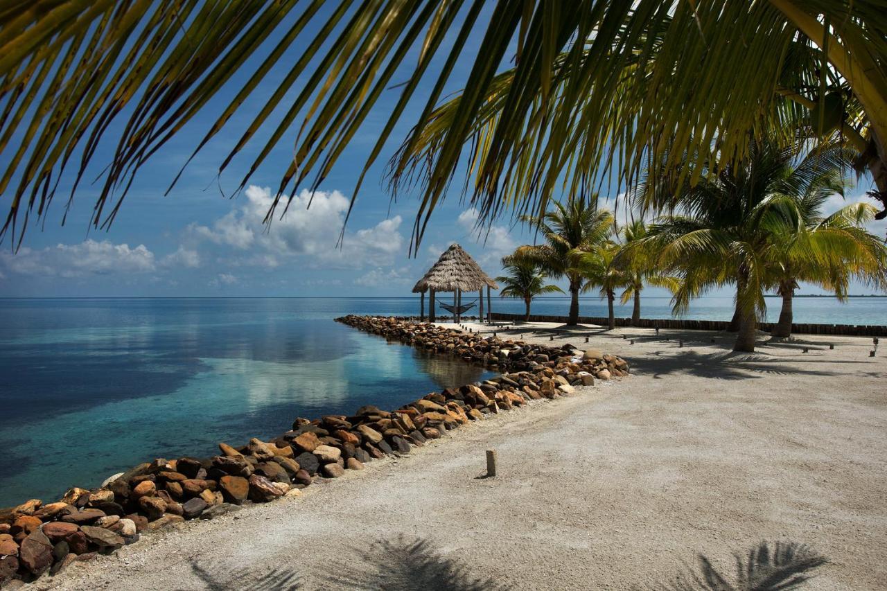 فندق Royal Belize Thatch Caye المظهر الخارجي الصورة
