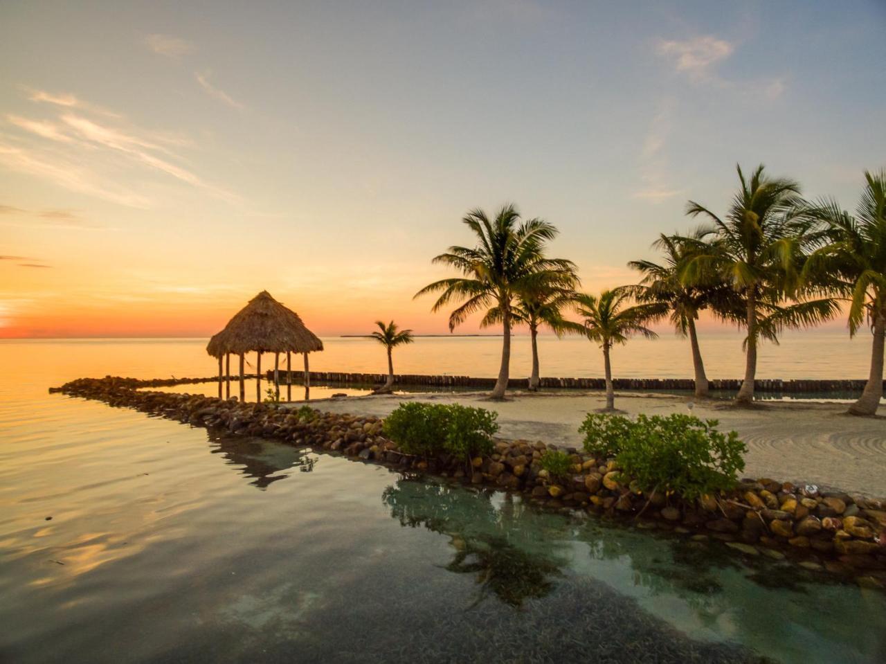 فندق Royal Belize Thatch Caye المظهر الخارجي الصورة