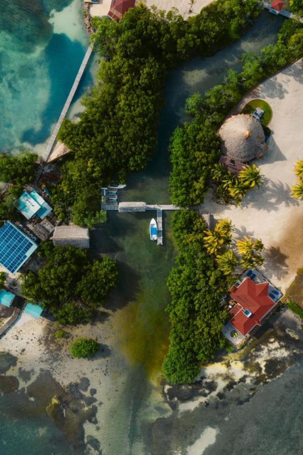 فندق Royal Belize Thatch Caye المظهر الخارجي الصورة